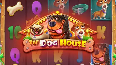 the dog house